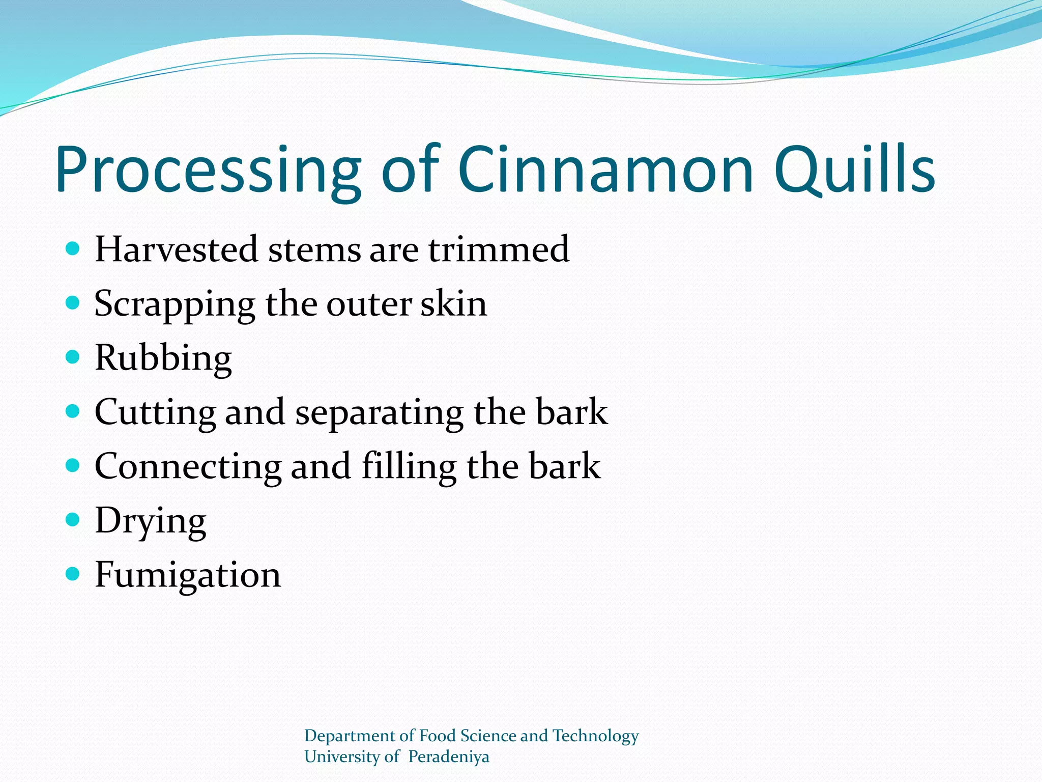 Processing of Cinnamon Quills 
 Harvested stems are trimmed 
 Scrapping the outer skin 
 Rubbing 
 Cutting and separating the bark 
 Connecting and filling the bark 
 Drying 
 Fumigation 
Department of Food Science and Technology 
University of Peradeniya 
 