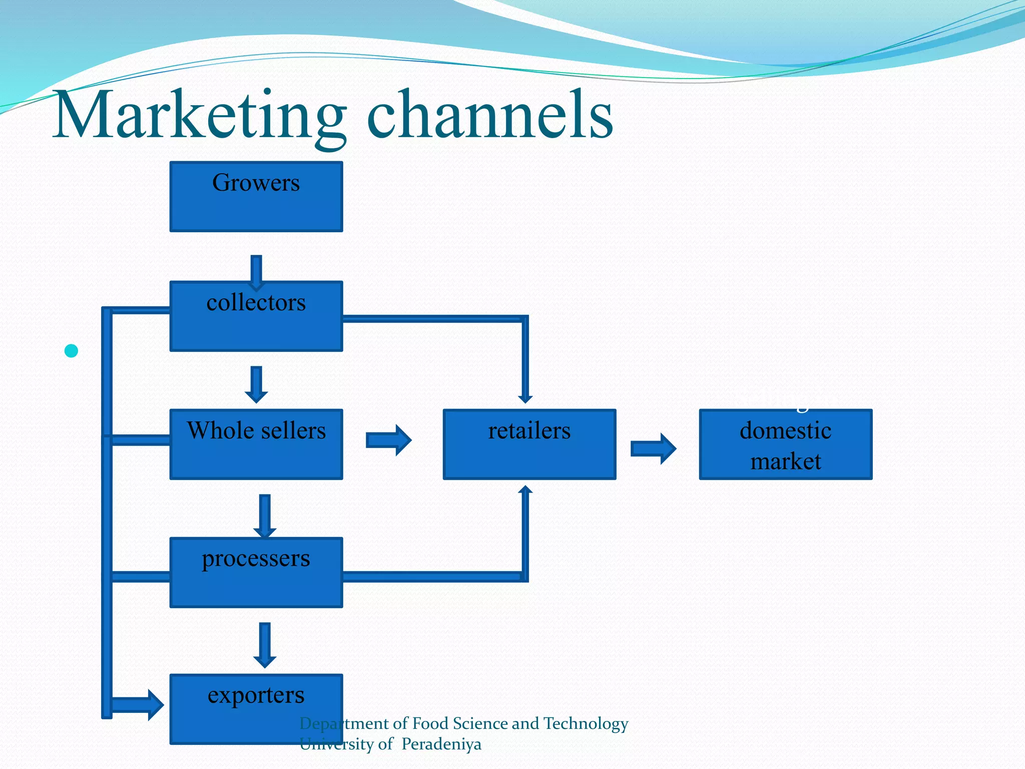 Marketing channels 
 
Growers 
collectors 
Whole sellers 
processers 
exporters 
retailers 
Selling in 
domestic 
market 
Department of Food Science and Technology 
University of Peradeniya 
 