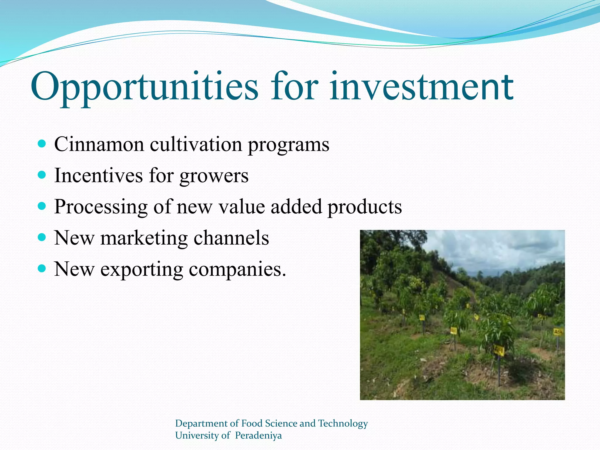 Opportunities for investment 
 Cinnamon cultivation programs 
 Incentives for growers 
 Processing of new value added products 
 New marketing channels 
 New exporting companies. 
Department of Food Science and Technology 
University of Peradeniya 
 