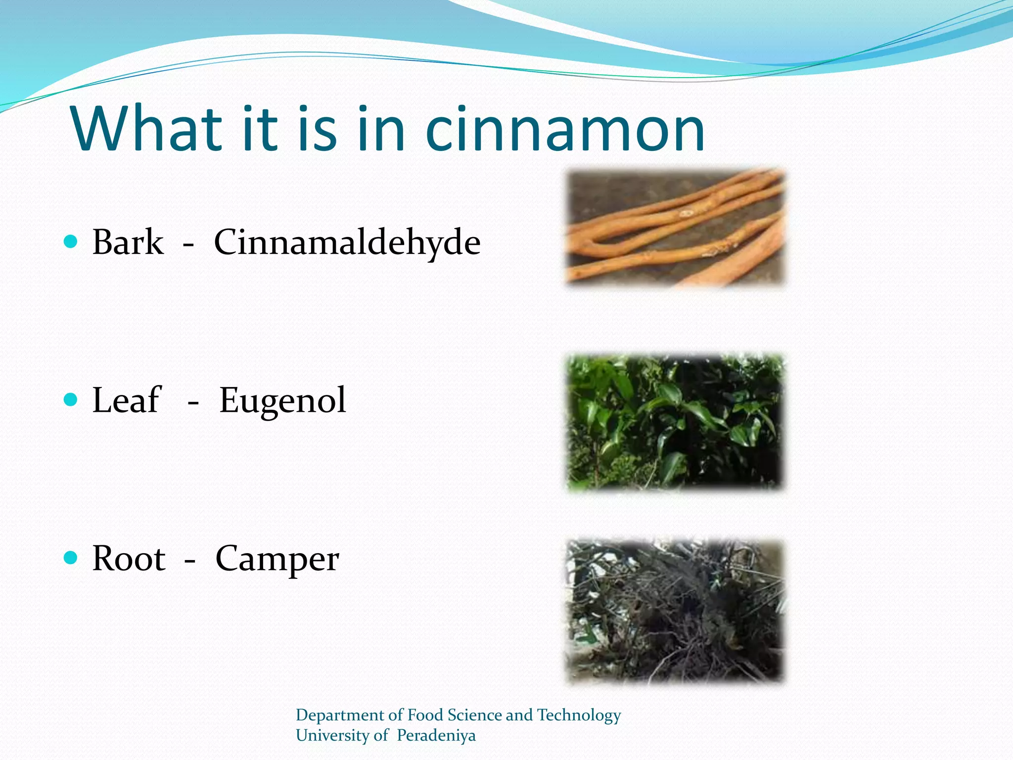 What it is in cinnamon 
 Bark - Cinnamaldehyde 
 Leaf - Eugenol 
 Root - Camper 
Department of Food Science and Technology 
University of Peradeniya 
 