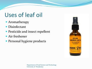Uses of leaf oil 
 Aromatherapy 
 Disinfectant 
 Pesticide and insect repellent 
 Air freshener 
 Personal hygiene products 
Department of Food Science and Technology 
University of Peradeniya 
 