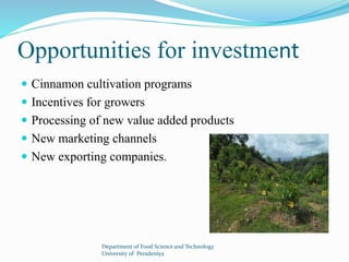 Opportunities for investment 
 Cinnamon cultivation programs 
 Incentives for growers 
 Processing of new value added products 
 New marketing channels 
 New exporting companies. 
Department of Food Science and Technology 
University of Peradeniya 
 