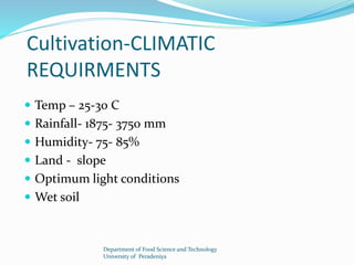 Cultivation-CLIMATIC 
REQUIRMENTS 
 Temp – 25-30 C 
 Rainfall- 1875- 3750 mm 
 Humidity- 75- 85% 
 Land - slope 
 Optimum light conditions 
 Wet soil 
Department of Food Science and Technology 
University of Peradeniya 
 
