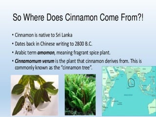 How to Use Cinnamon and Cinnamon Sticks - Sharon Palmer, The Plant