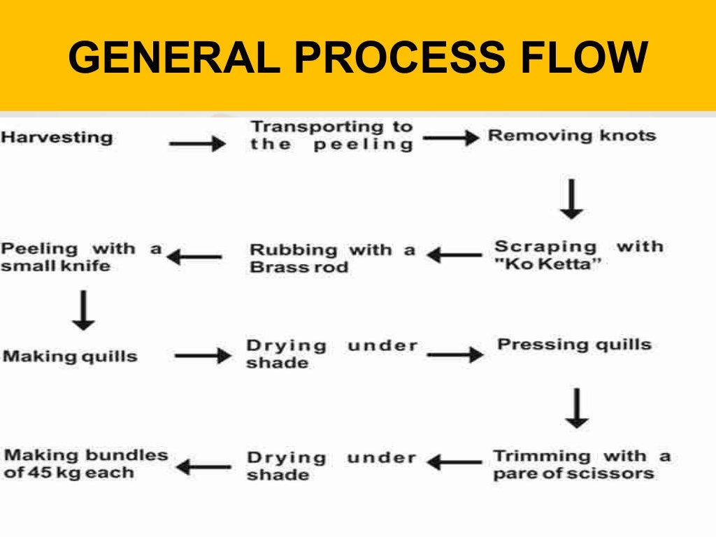 Cinnamon processing"BARK OF AN EVERGREEN TREE"