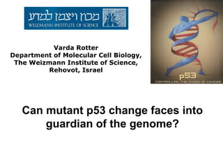 Varda Rotter
Department of Molecular Cell Biology,
The Weizmann Institute of Science,
Rehovot, Israel
Can mutant p53 change faces into
guardian of the genome?
 