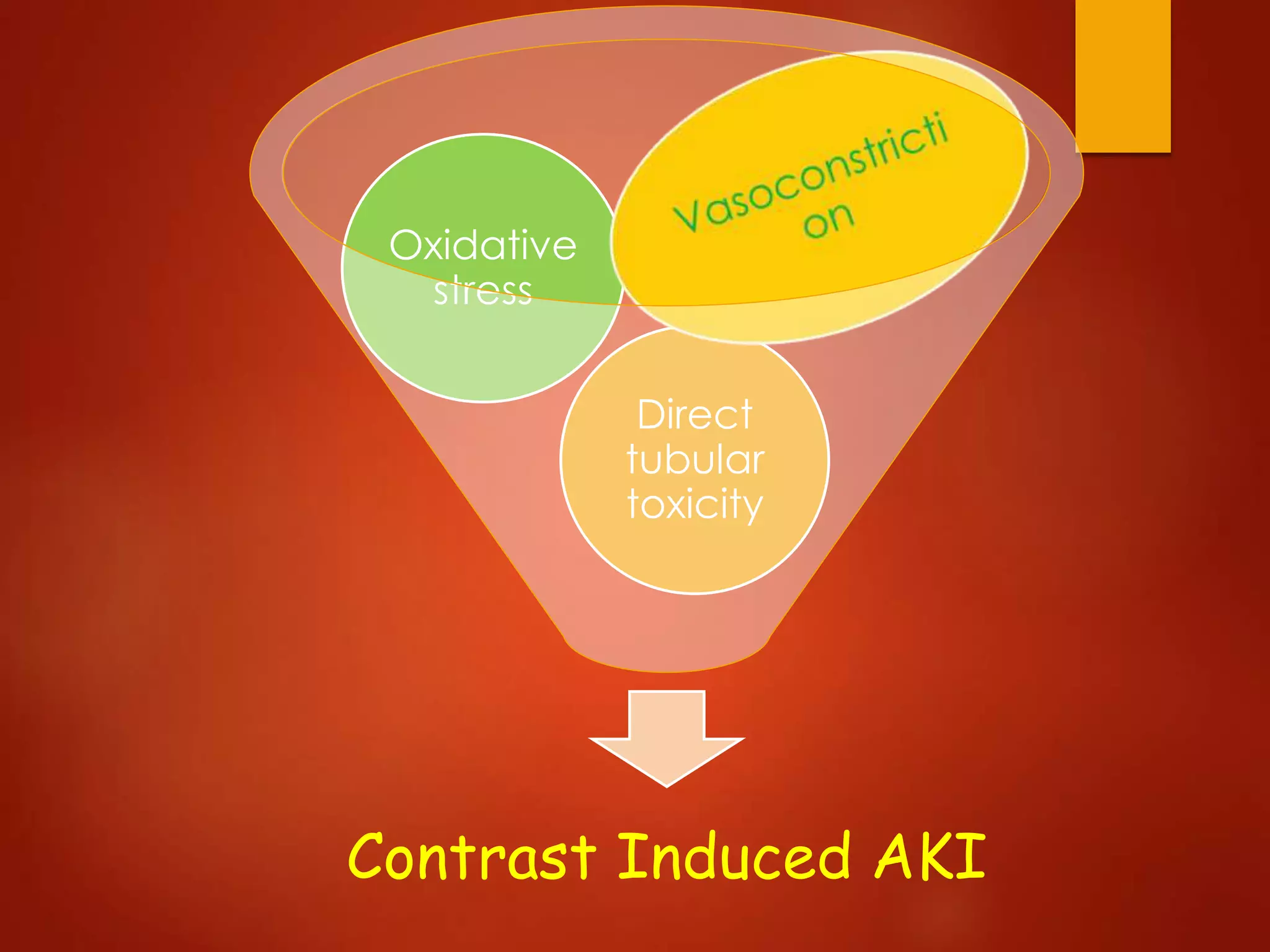 Contrast Induced AKI
Direct
tubular
toxicity
Oxidative
stress
 