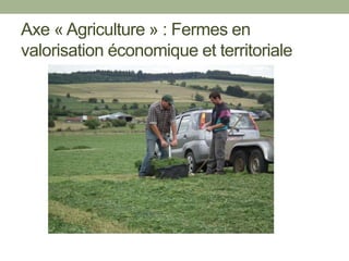 Axe « Agriculture » : Fermes en
valorisation économique et territoriale
 