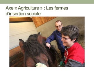Axe « Agriculture » : Les fermes
d’insertion sociale
 