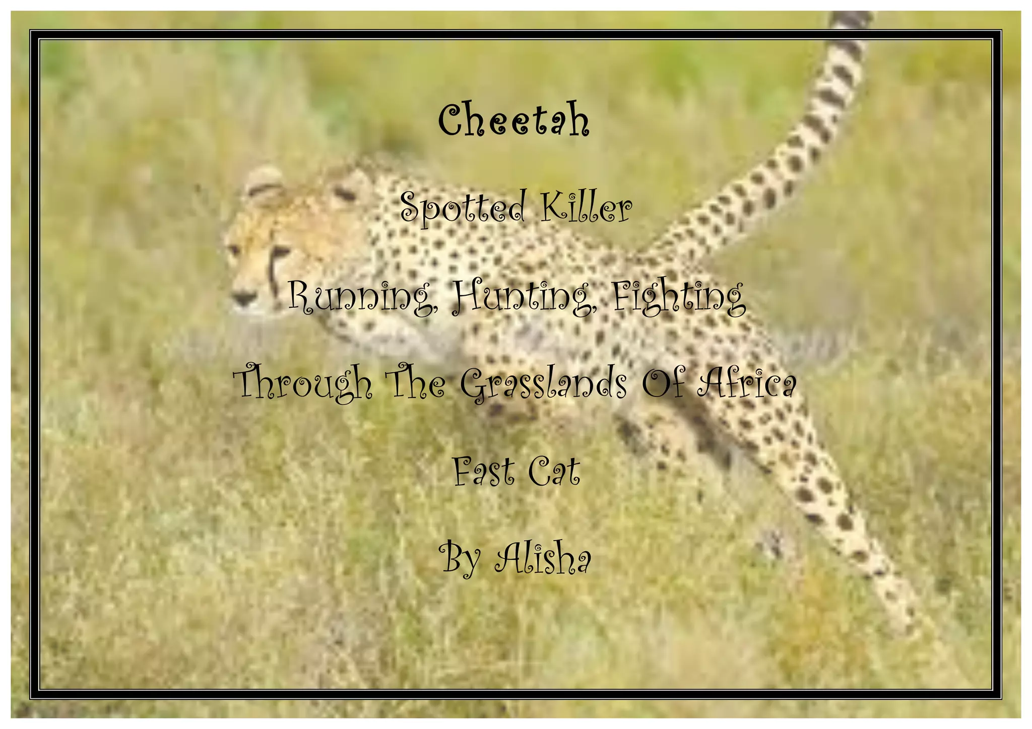 Zoo Cinquain Poems | PDF