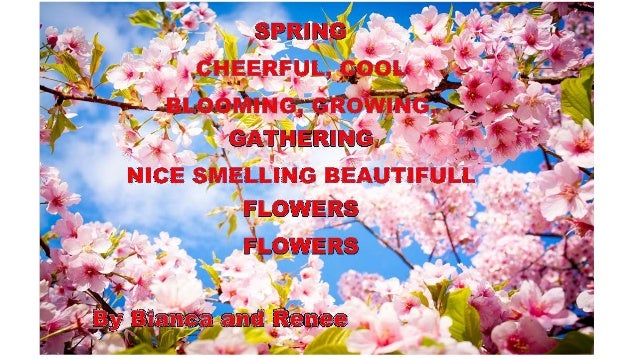 Cinquain poems