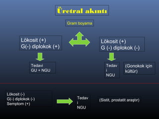 Üretral akıntı
                            Gram boyama



        Lökosit (+)                        Lökosit (+)
        G(-) diplokok (+)                  G (-) diplokok (-)


              Tedavi                          Tedav        (Gonokok için
              GU + NGU                        i            kültür)
                                              NGU



Lökosit (-)
G(-) diplokok (-)               Tedav
                                          (Sistit, prostatit araştır)
Semptom (+)                     i
                                NGU
 