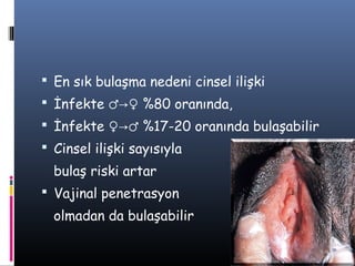  En sık bulaşma nedeni cinsel ilişki
 İnfekte ♂→♀ %80 oranında,
 İnfekte ♀→♂ %17-20 oranında bulaşabilir
 Cinsel ilişki sayısıyla
  bulaş riski artar
 Vajinal penetrasyon
  olmadan da bulaşabilir
 
