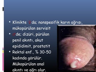  Klinikte ♀da; nonspesifik karın ağrısı,
  mükopürülan servisit
 ♂de; dizüri, pürülan
  penil akıntı, akut
  epididimit, prostatit
 Rektal enf., % 30-50
  kadında görülür.
  Mükopürülan anal
  akıntı ve ağrı olur.
 