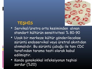 TEŞHİS
 Servikal/üretra orta kesiminden alınan
  standart kültürün sensitivitesi % 80-90
 Uzak bir merkeze kültür gönderilecekse
  sürüntü endoservikal veya üretral akıntıdan
  alınmalıdır. Bu sürüntü çubuğu ile tanı CDC
  tarafından tarama testi olarak kabul
  edilmiştir.
 Kanda gonokokkal infeksiyonun teşhisi
  zordur (%20)
 