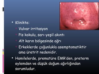  Klinikte:
   Vulvar irritasyon
   Pis kokulu, sarı-yeşil akıntı
   Alt karın bölgesinde ağrı
   Erkeklerde çoğunlukla asemptomatiktir
    ama üretrit nedenidir.
 Hamilelerde, prematüre EMR’den, preterm
  eylemden ve düşük doğum ağırlığından
  sorumludur.
 