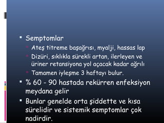  Semptomlar
   Ateş titreme başağrısı, myalji, hassas lap
   Dizüri, sıklıkla sürekli artan, ilerleyen ve
    üriner retansiyona yol açacak kadar ağrılı
   Tamamen iyleşme 3 haftayı bulur.
 % 60 - 90 hastada rekürren enfeksiyon
  meydana gelir
 Bunlar genelde orta şiddette ve kısa
  sürelidir ve sistemik semptomlar çok
  nadirdir.
 