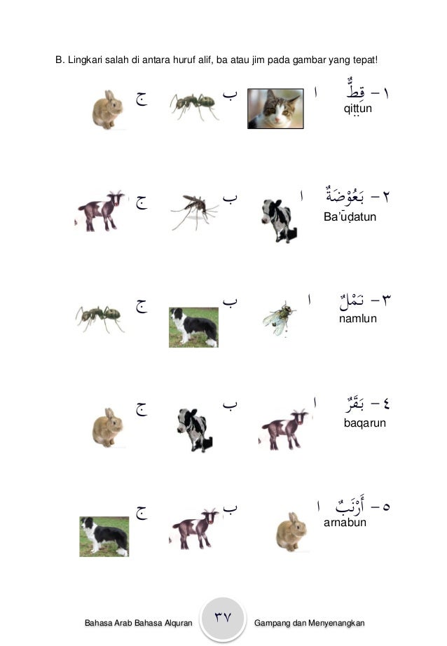 Cinta bahasa  arab  kelas 1