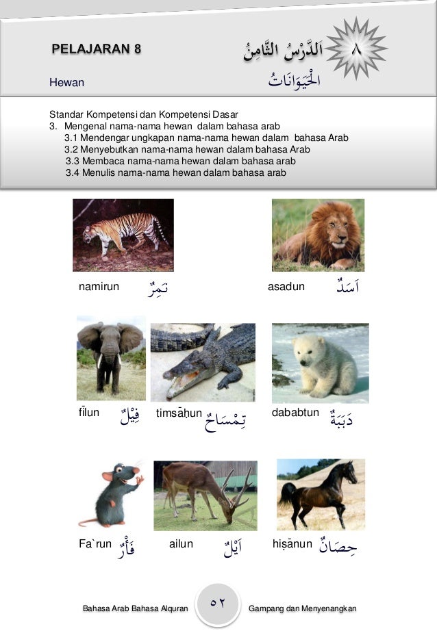 Bahasa Arab Nama Nama Binatang Hewan Kamus Mufradat