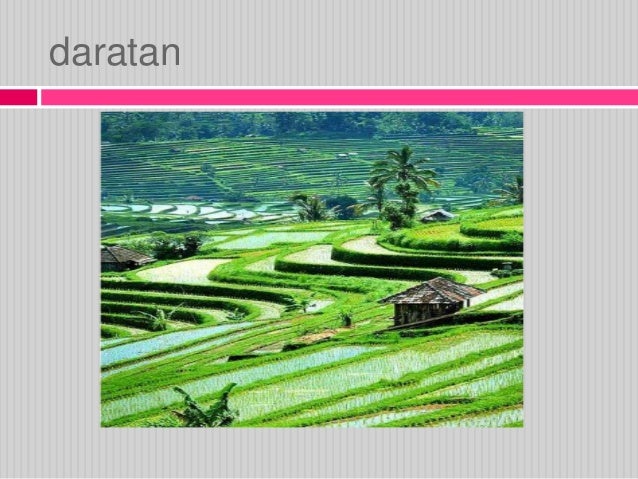 Cinta Tanah Air