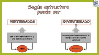 Son lo que tienen huesos y
una columna vertebral
Son lo que no tienen huesos ni
tampoco una columna
vertebral
TIPOS Características
 