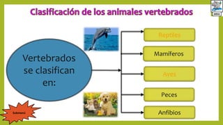 Vertebrados
se clasifican
en:
Mamíferos
Aves
Peces
Anfibios
Reptiles
Submenú
 
