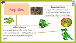 Reptiles
Alimentación
La mayor parte de los reptiles son carnívoros y
poseen un tracto digestivo sencillo y corto, ya que
la carne es bastante simple de descomponer y
digerir.
Características
La mayoría de los reptiles se han adaptado a
la vida terrestre, pero finalmente se ha
descubierto que algunos viven en el agua.
 