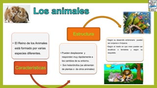 • El Reino de los Animales
está formado por varias
especies diferentes.
Características
• Pueden desplazarse y
responden muy rápidamente a
los cambios de su entorno.
• Son heterótrofos (se alimentan
de plantas o de otros animales)
Estructura
•Según su desarrollo embrionario pueden
ser ovíparos o Vivíparos.
•Según el medio en que viven pueden ser
acuáticos o terrestres y según su
esqueleto.
animales
 