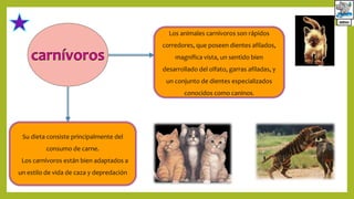 Su dieta consiste principalmente del
consumo de carne.
Los carnívoros están bien adaptados a
un estilo de vida de caza y depredación
Los animales carnívoros son rápidos
corredores, que poseen dientes afilados,
magnífica vista, un sentido bien
desarrollado del olfato, garras afiladas, y
un conjunto de dientes especializados
conocidos como caninos.
 