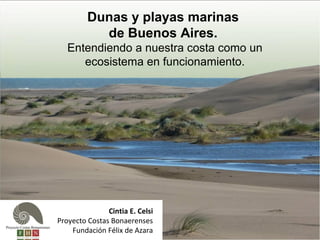 Cintia E. Celsi
Proyecto Costas Bonaerenses
Fundación Félix de Azara
Dunas y playas marinas
de Buenos Aires.
Entendiendo a nuestra costa como un
ecosistema en funcionamiento.
 