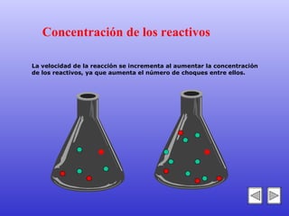 La velocidad de la reacción se incrementa al aumentar la concentración de los reactivos, ya que aumenta el número de choques entre ellos. Concentración de los reactivos 