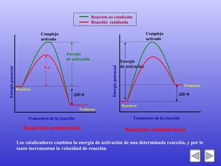 Energía  de activación Energía potencial Transcurso de la reacción Complejo activado Reactivos  H<0 Energía  de activación Transcurso de la reacción Complejo activado Reactivos  H>0 Energía potencial Reacción exotérmica Reacción endotérmica Productos Productos E.A Los catalizadores cambian la energía de activación de una determinada reacción, y por lo tanto incrementan la velocidad de reacción   Reacción no catalizada Reacción  catalizada 