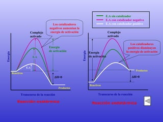 Energía  de activación Energía  Transcurso de la reacción Complejo activado Reactivos  H<0 Energía  de activación Transcurso de la reacción Complejo activado Reactivos  H>0 Energía Reacción exotérmica Reacción endotérmica Productos Productos E.A E.A Los catalizadores negativos aumentan la energía de activación Los catalizadores positivos disminuyen la energía de activación E.A sin catalizador E.A con catalizador negativo E.A con catalizador positivo 