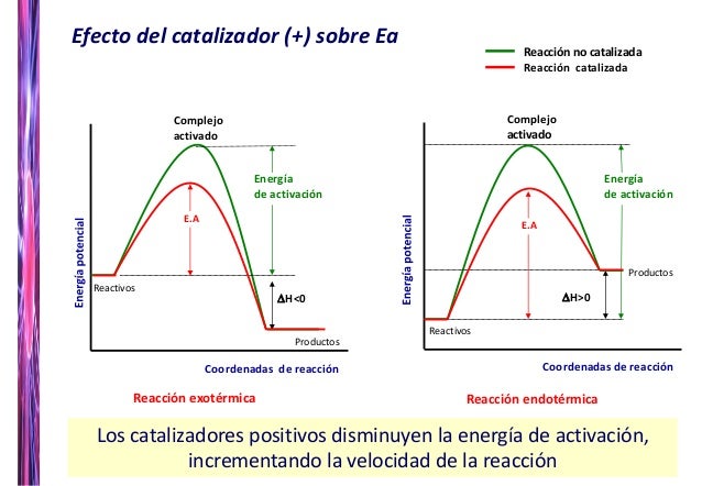 Cinética pdf