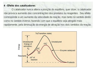 Cinética e equilíbrio químico