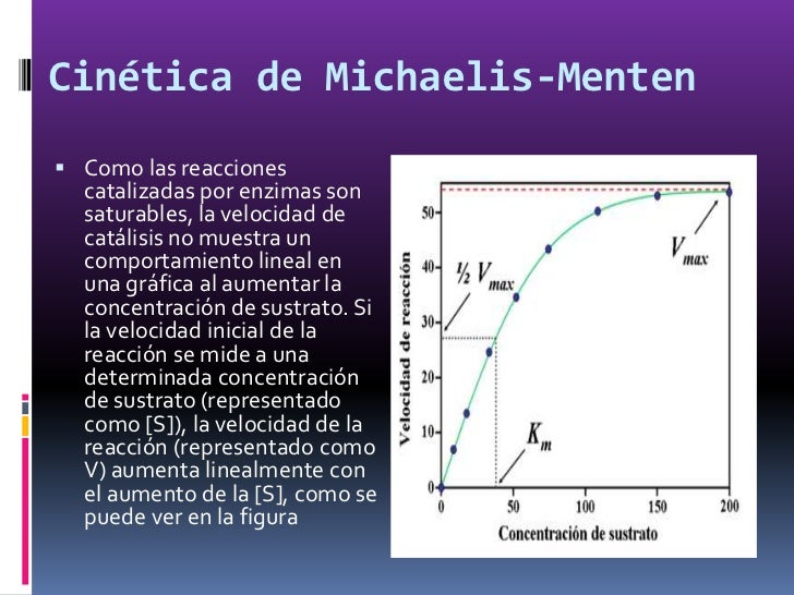 Cinética enzimática