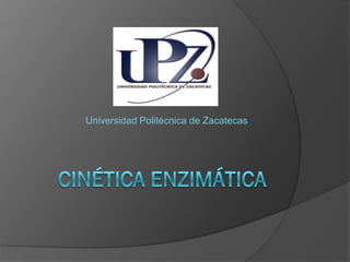 Universidad Politécnica de Zacatecas
 
