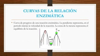 CURVAS DE LA RELACIÓN
ENZIMÁTICA
• Curva de progreso de una reacción enzimática. La pendiente representa, en el
periodo inicial, la velocidad de la reacción. La zona de la meseta representa el
equilibrio de la reacción.
 