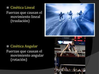  Cinética Lineal
Fuerzas que causan el
movimiento lineal
(traslación)
 Cinética Angular
Fuerzas que causan el
movimiento angular
(rotación)
 