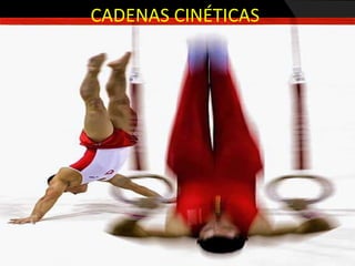 CADENAS CINÉTICAS
 
