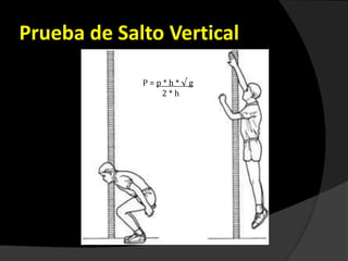 Prueba de Salto Vertical
P = p * h * √ g
2 * h
 
