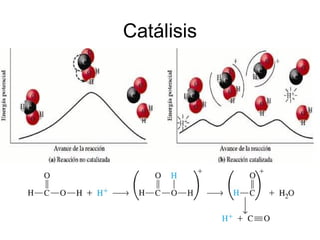 Catálisis
 
