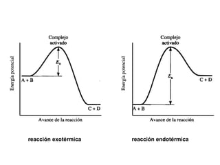 reacción exotérmica reacción endotérmica
 