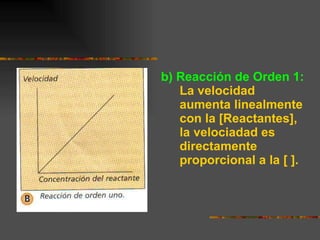 b) Reacción de Orden 1:   La velocidad aumenta linealmente con la [Reactantes], la velociadad es directamente proporcional a la [ ]. 