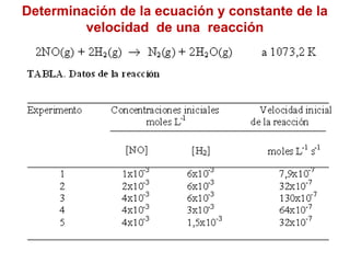 Determinación de la ecuación y constante de la 
velocidad de una reacción 
 