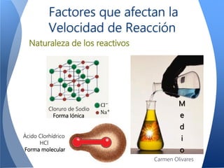 Factores que afectan la
Velocidad de Reacción
Naturaleza de los reactivos
Cl−
Na+Cloruro de Sodio
Forma Iónica
Ácido Clorhídrico
HCl
Forma molecular
M
e
d
i
o
Carmen Olivares
 