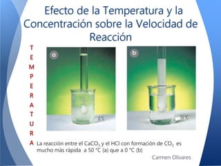 Efecto de la Temperatura y la
Concentración sobre la Velocidad de
Reacción
La reacción entre el CaCO3 y el HCl con formación de CO2 es
mucho más rápida a 50 °C (a) que a 0 °C (b)
T
E
M
P
E
R
A
T
U
R
A
Carmen Olivares
 