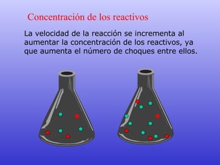 La velocidad de la reacción se incrementa al aumentar la concentración de los reactivos, ya que aumenta el número de choques entre ellos. Concentración de los reactivos 