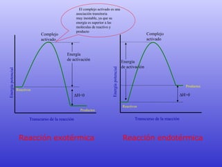 Energía  de activación Energía potencial Transcurso de la reacción Complejo activado Reactivos  H<0 Energía  de activación Transcurso de la reacción Complejo activado Reactivos  H>0 Energía potencial Reacción exotérmica Reacción endotérmica Productos Productos   El complejo activado es una asociación transitoria  muy inestable, ya que su  energía es superior a las  moléculas de reactivo y  producto 