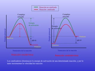 Energía  de activación Energía potencial Transcurso de la reacción Complejo activado Reactivos  H<0 Energía  de activación Transcurso de la reacción Complejo activado Reactivos  H>0 Energía potencial Reacción exotérmica Reacción endotérmica Productos Productos E.A Los catalizadores disminuyen la energía de activación de una determinada reacción, y por lo tanto incrementan la velocidad de reacción   Reacción no catalizada Reacción  catalizada 
